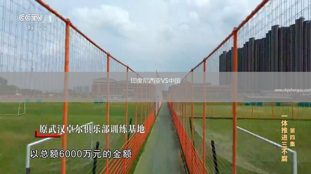 印度尼西亞VS中國