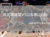 湖北青年星VS山東泰山B隊