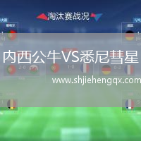 內(nèi)西公牛VS悉尼彗星