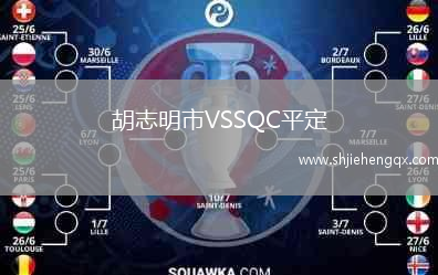胡志明市VSSQC平定