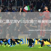 拜仁慕尼黑VS烏爾姆蘭蒂奧帕姆